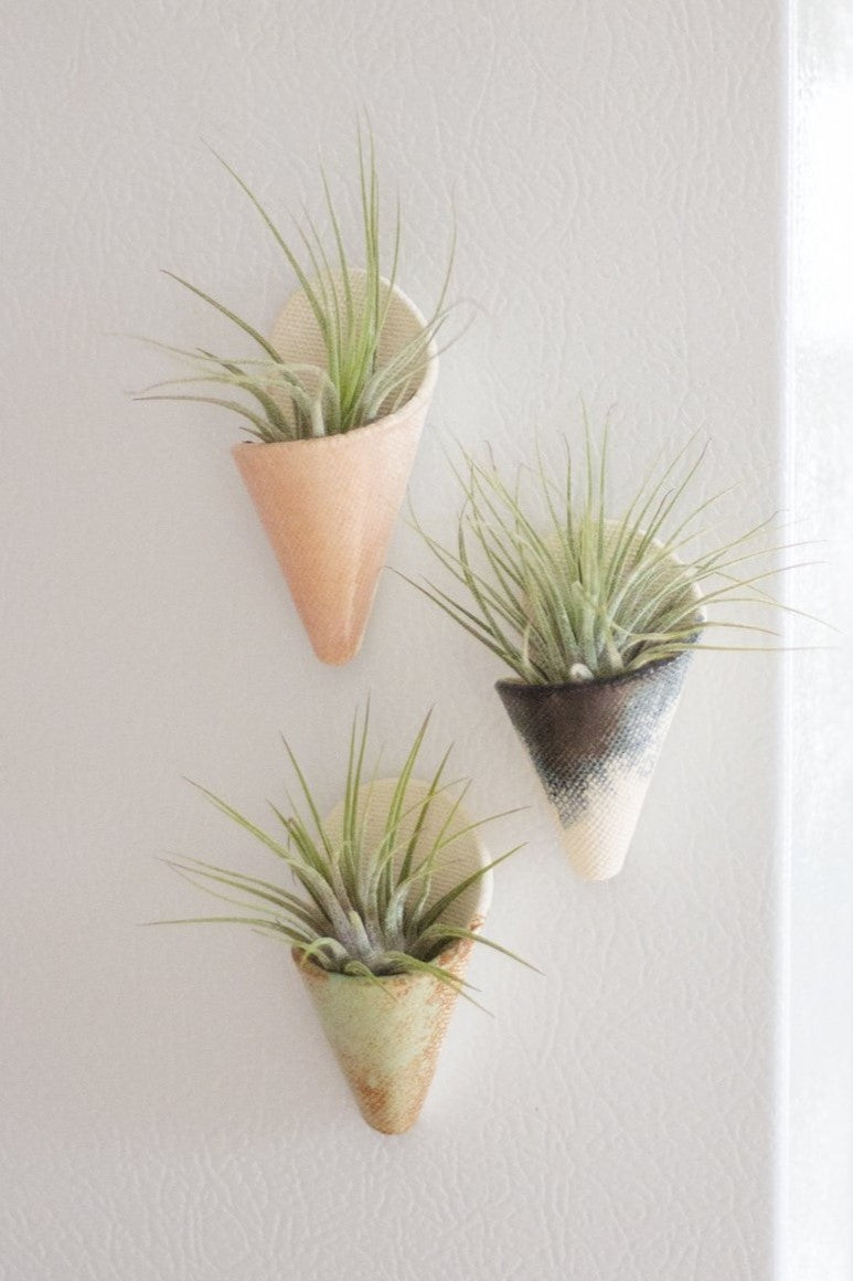 Three tiny ceramic magnet cones, attached to a magnetic fridge with air plants.