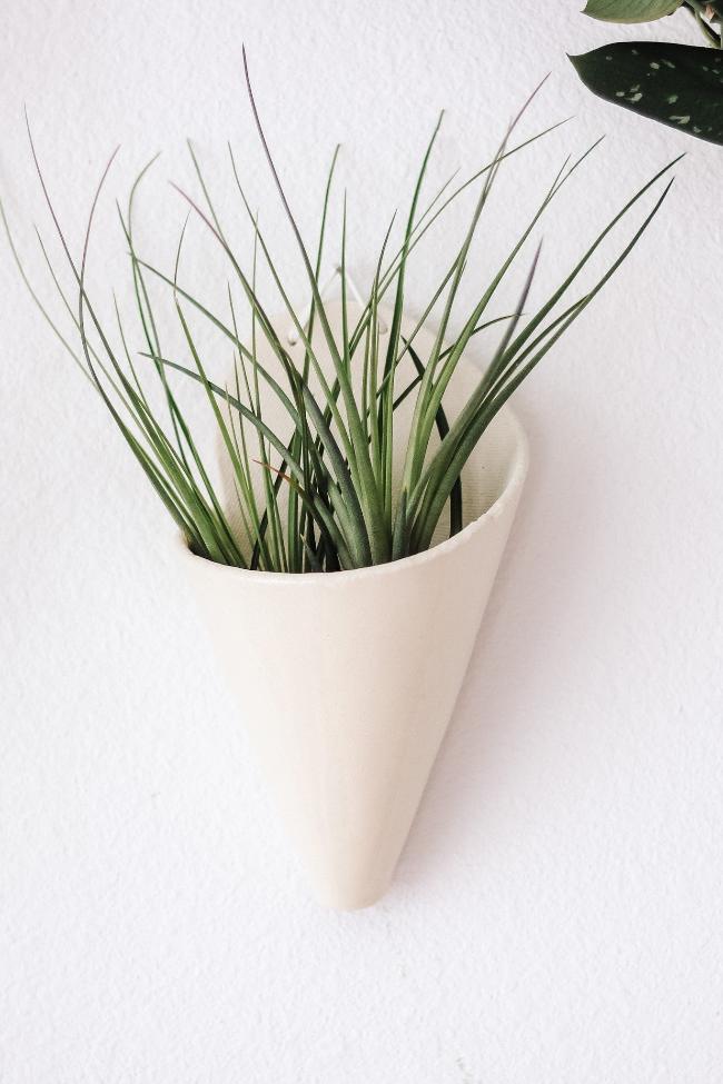 Large ivory wall cone with a large spikey air plant inside hanging by a nail on a white wall. 