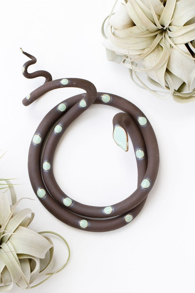 Dark brown clay snake with light turquoise glazed head and dots coiled into a loose circle with an organic curly tail. This colorway is Stevie. The snake sits on a white background and is styled with xerographica plants.