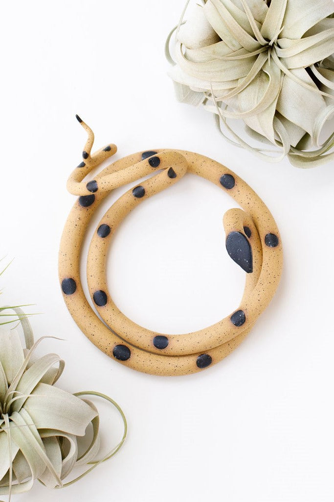 Tan speckled clay snake with black glazed head and dots coiled into a loose circle with an organic curly tail. This colorway is Sammy. The snake sits on a white background and is styled with xerographica plants.