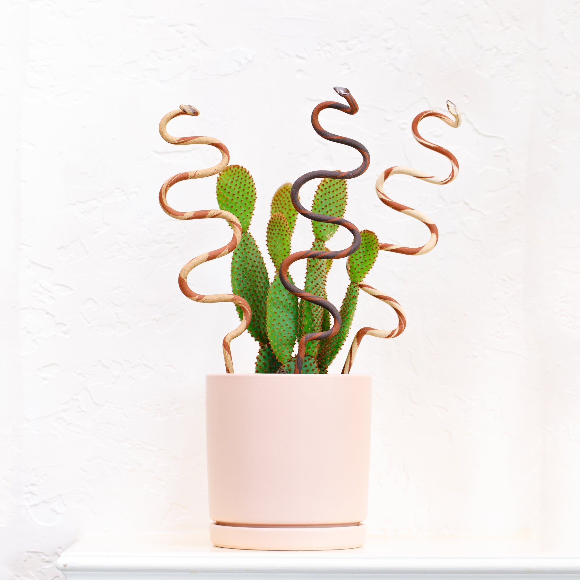 Studio Second: Plant Stake - Carter + Rose
