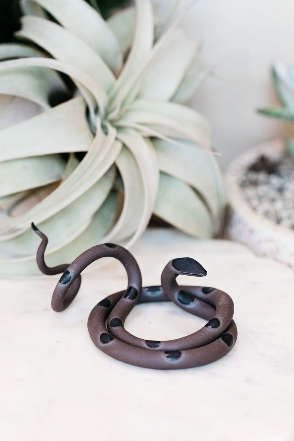 Coiled black pottery snake with black glazed head and dots. This colorway is Saul. Styled with a xerographica in the background.