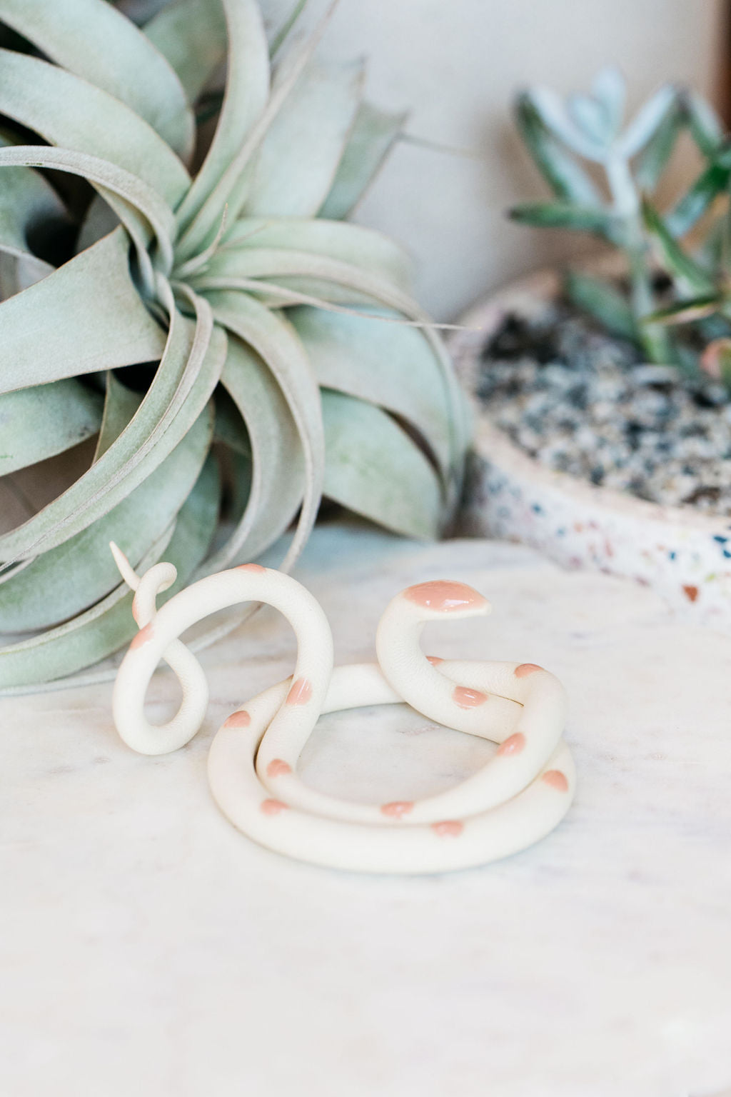 Coiled ivory pottery snake with pastel pink glazed head and dots. This colorway is Sofie. Styled with a xerographica in the background.