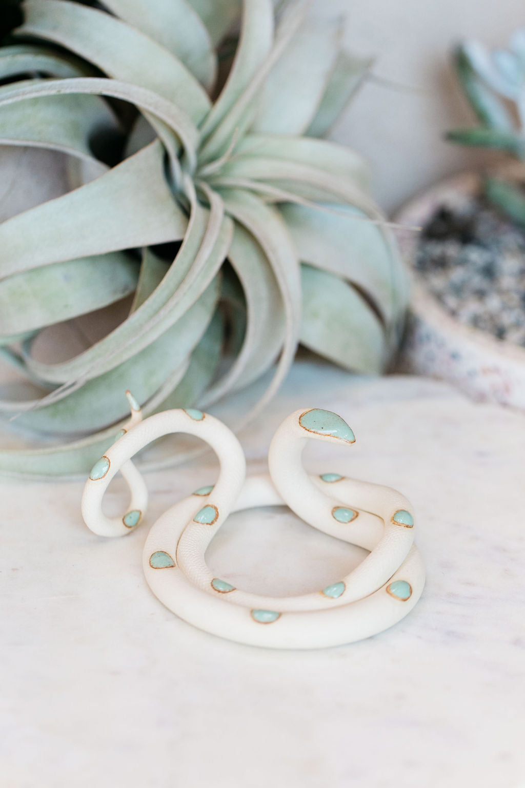 Coiled ivory pottery snake with light turquoise glazed head and dots. This colorway is Sylvia. Styled with a xerographica in the background.