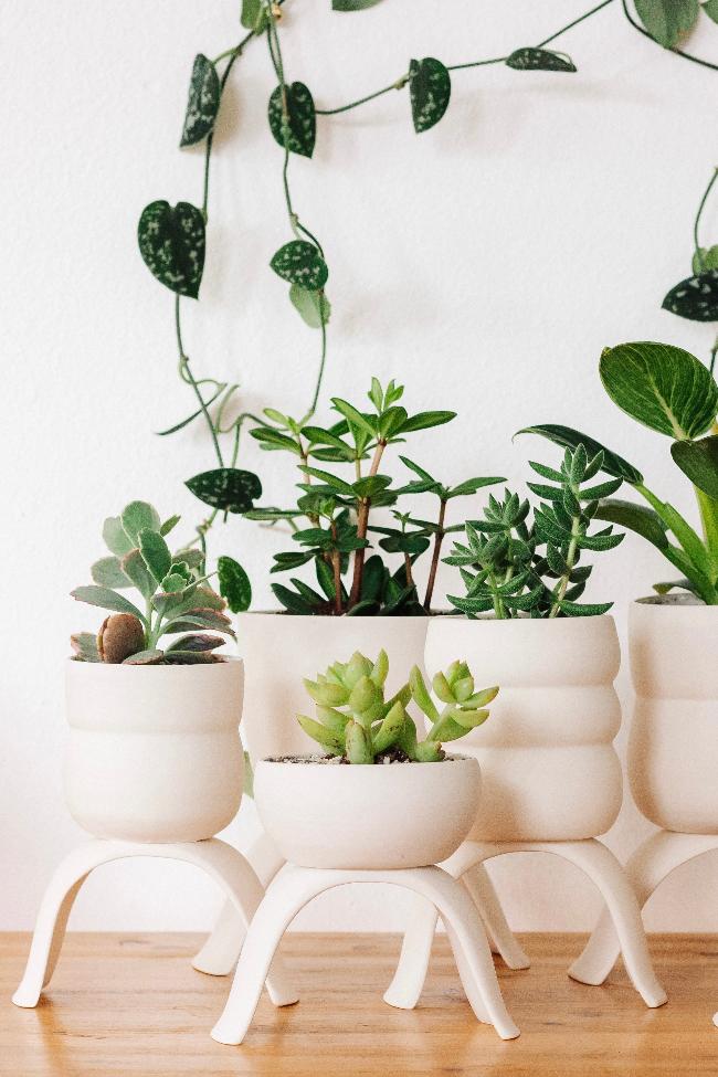 Five of the different styled high rise white planters with potted plants showing how cute they look as a collection. 