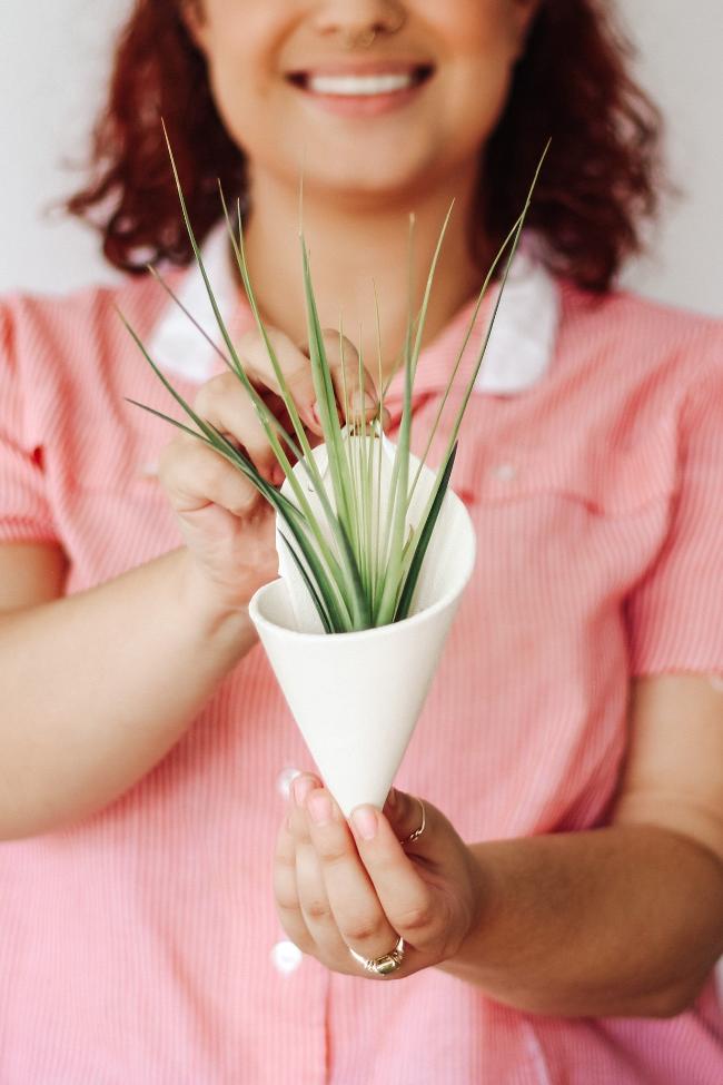 White ceramic wall cone with an air plant being held by a smiling woman. 