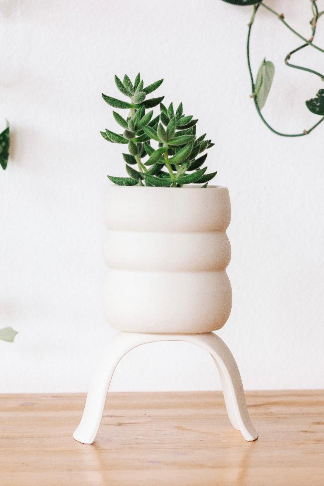 Medium white raised planter with a double cinched wiggle design. Potted with a succulent plant on a wooden table. 