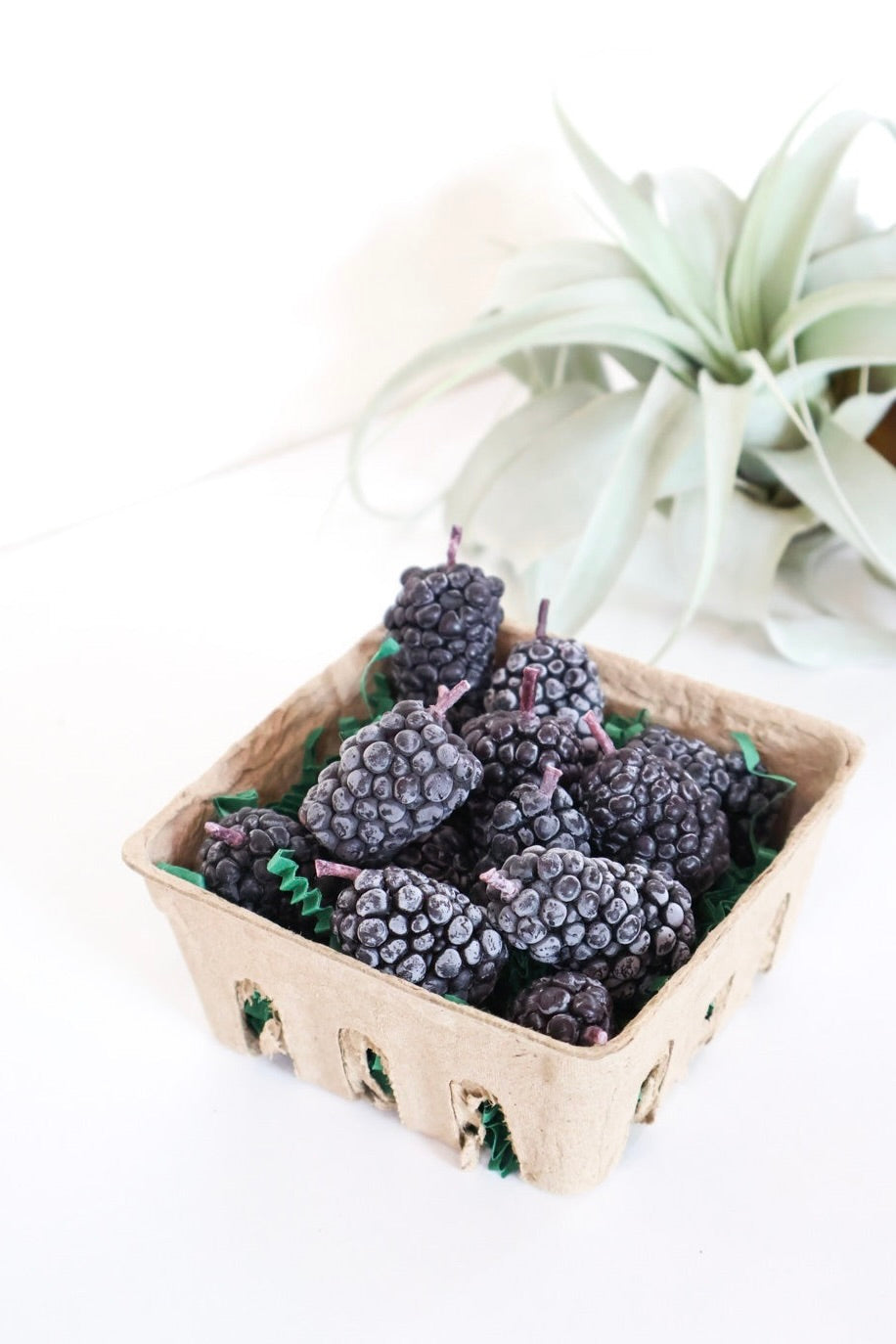 Realistic blackberry shaped beeswax candles nestled in a tan berry box with a air plant in the background.