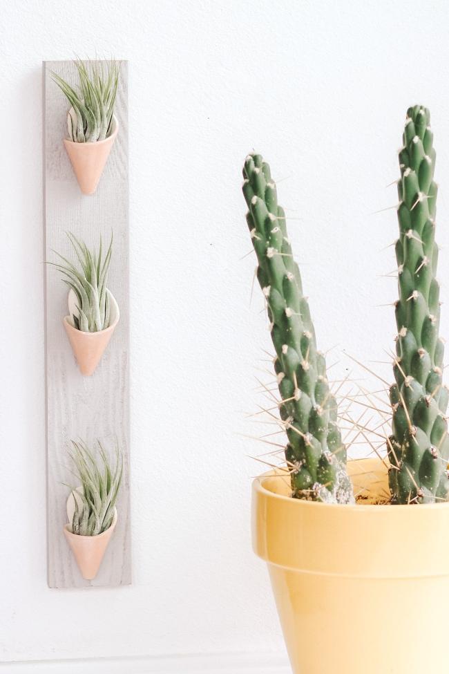 Three pastel pink clay cones on a thin vertical grey board styled with air plants inside the cones. 