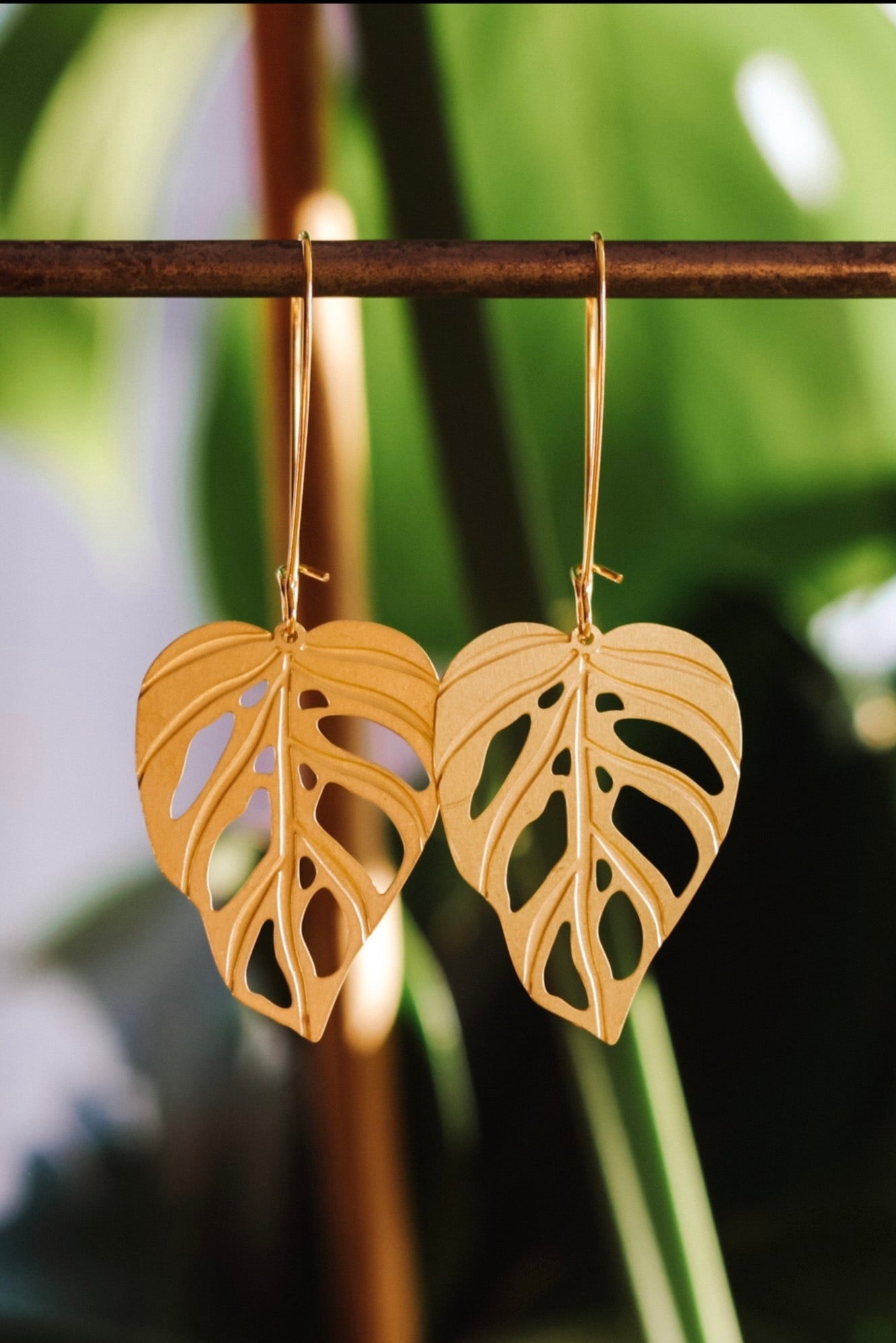 A pair of Monstera Adansonii leaf-shaped earrings made of brass, displayed against a green leafy background.