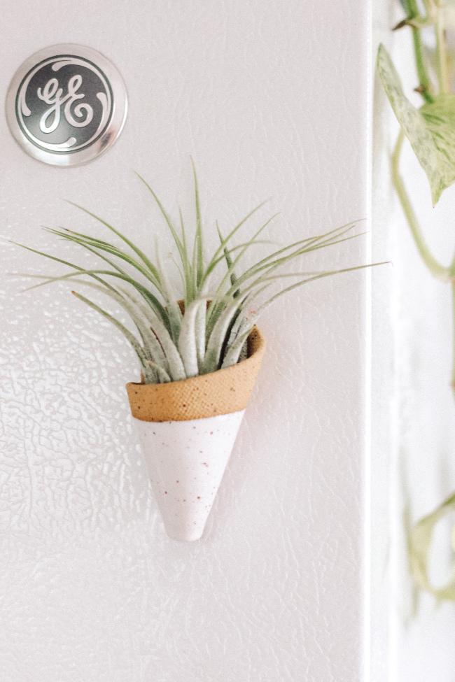 Small speckled tan magnetic ceramic cone dipped in white clear glaze. The cone is styled sticking to a fridge and is holding an air plant.