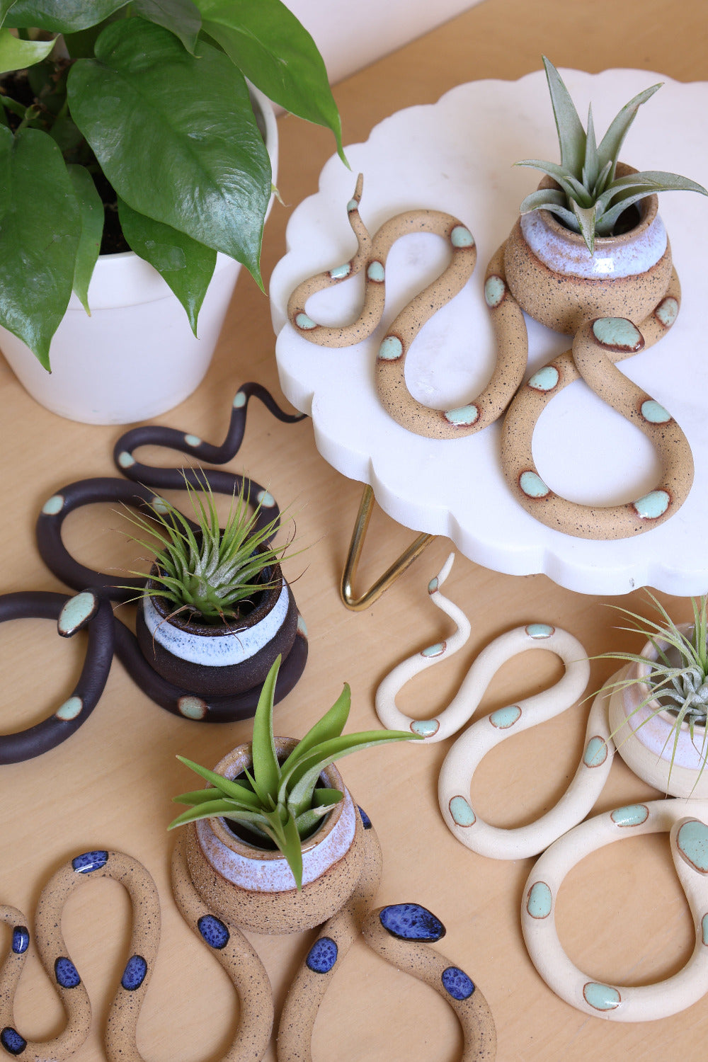 The collection of snake bud vase all together styled with air plants. 