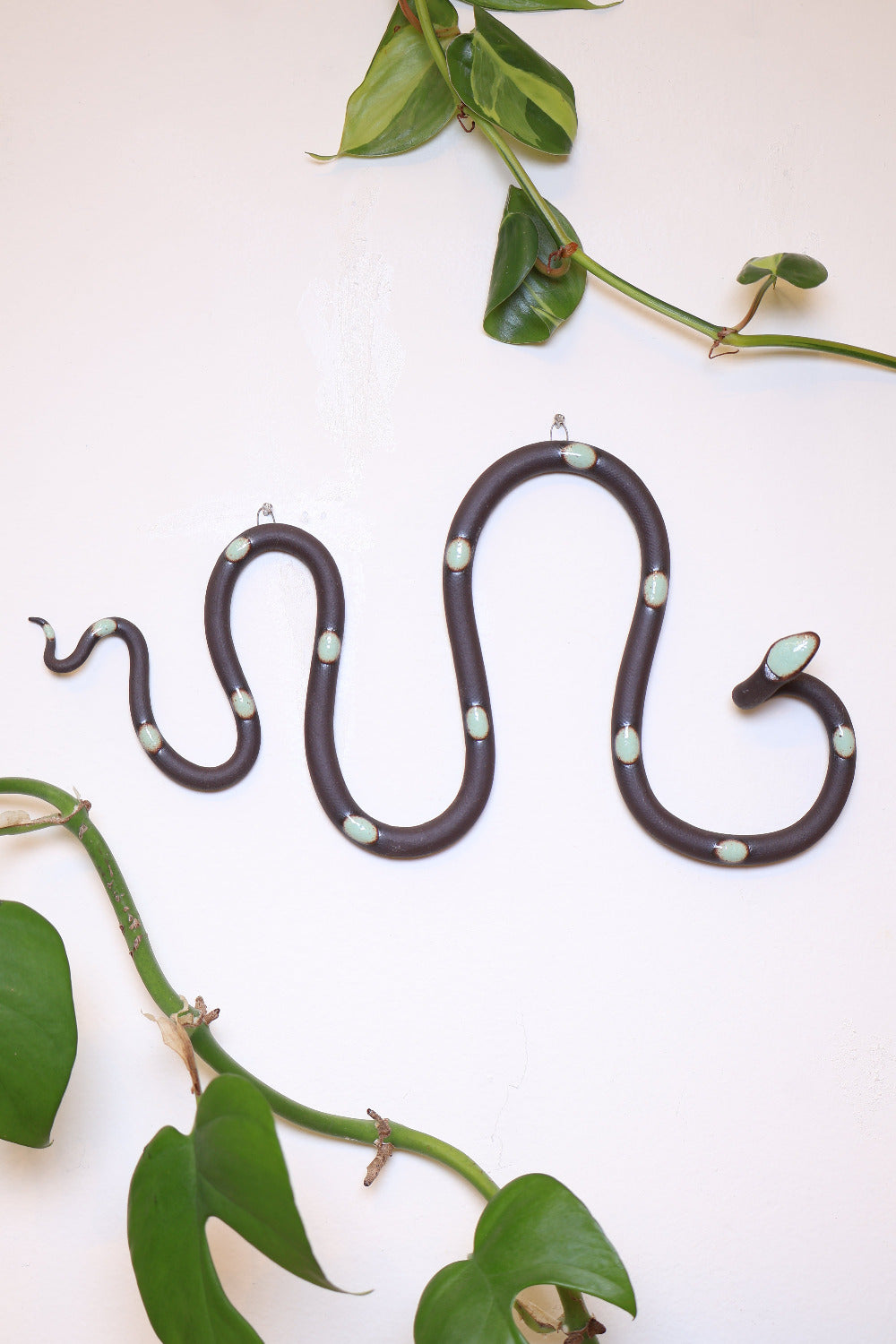 Horizontal wavy ceramic wall snake in the Stevie colorway, dark chocolate clay base and light turquoise dots. It's hanging on a white wall with two small nails by its two small metal hooks.