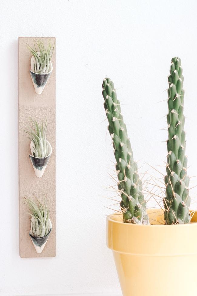 Three ivory and indigo clay cones on a thin vertical grey board styled with air plants inside the cones. 