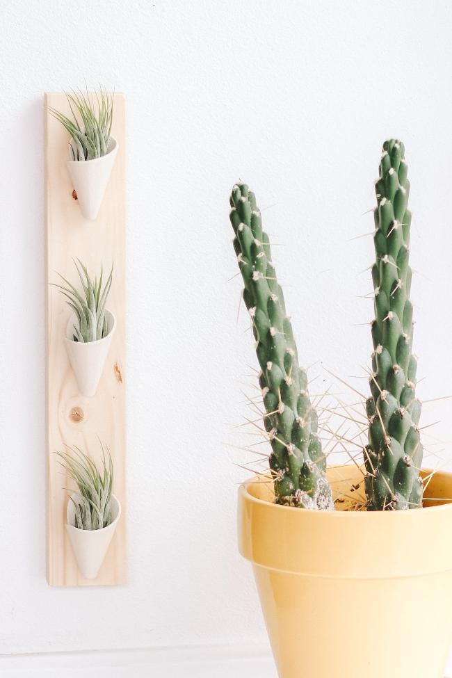 Three ivory clay cones on a thin vertical pine board styled with air plants inside the cones. 