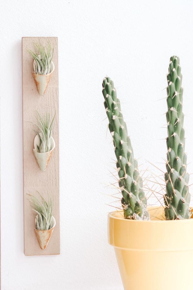 Three greenish turquoise clay cones on a thin vertical grey board styled with air plants inside the cones. 