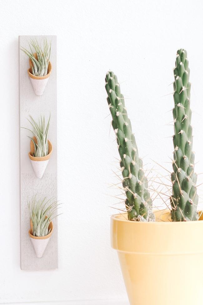Three speckled tan clay cones dipped in white glaze on a thin vertical grey board styled with air plants inside the cones. 