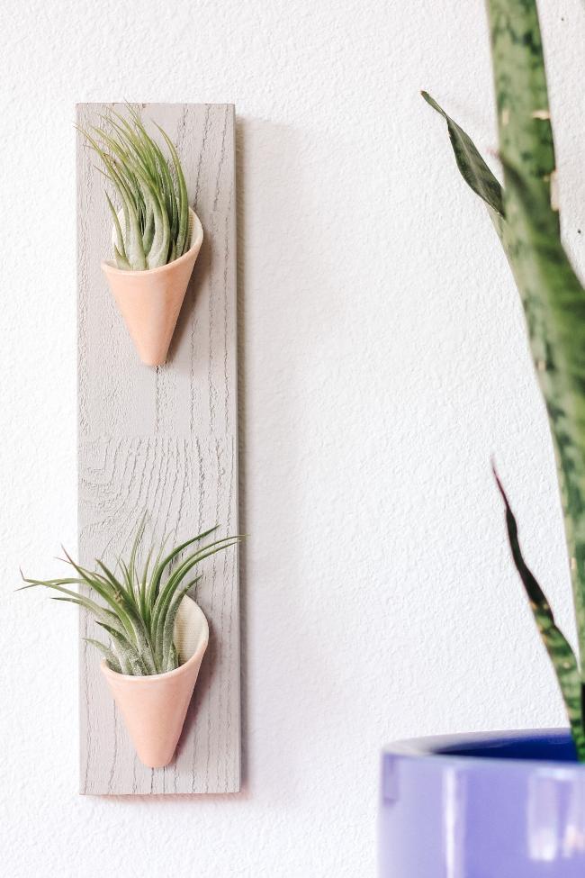 Two small pastel pink ceramic cones on a thin vertical grey board styled with air plants inside the cones. 