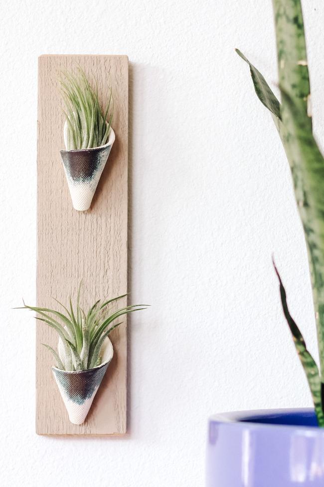Two small ivory and indigo ceramic cones on a thin vertical grey board styled with air plants inside the cones. 