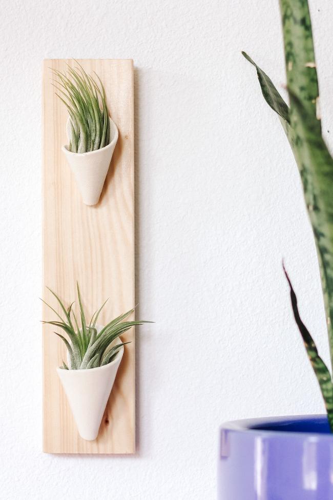 Two small ivory ceramic cones with clear glaze on a thin vertical pine board styled with air plants inside the cones.