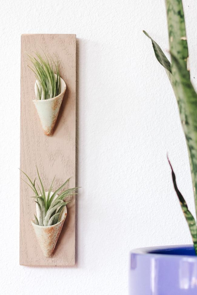 Two small greenish turquoise ceramic cones on a thin vertical 
grey board styled with air plants inside the cones. 