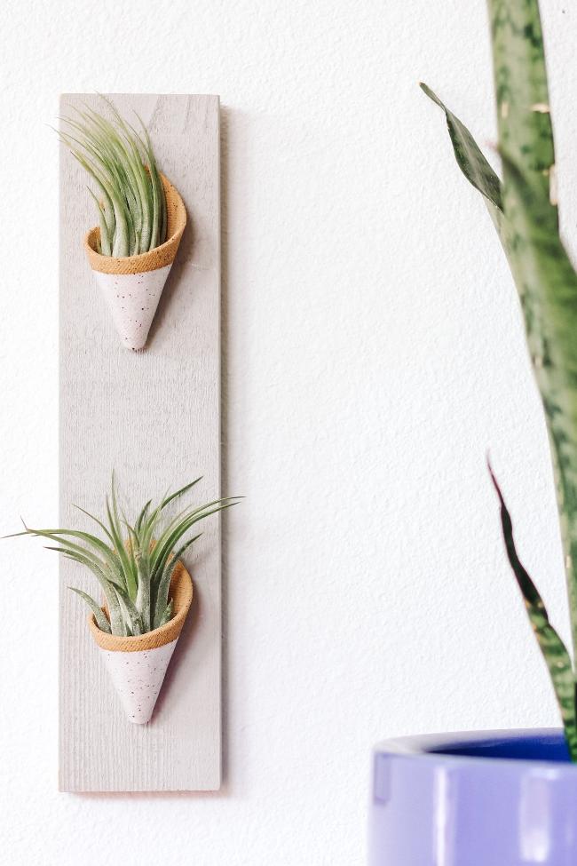Two small speckled tan ceramic cones dipped in white glaze on a thin vertical grey board styled with air plants inside the cones. 
