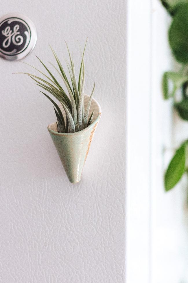 Small greenish turquoise ceramic magnetic cone. The cone is styled sticking to a fridge and is holding an air plant. 