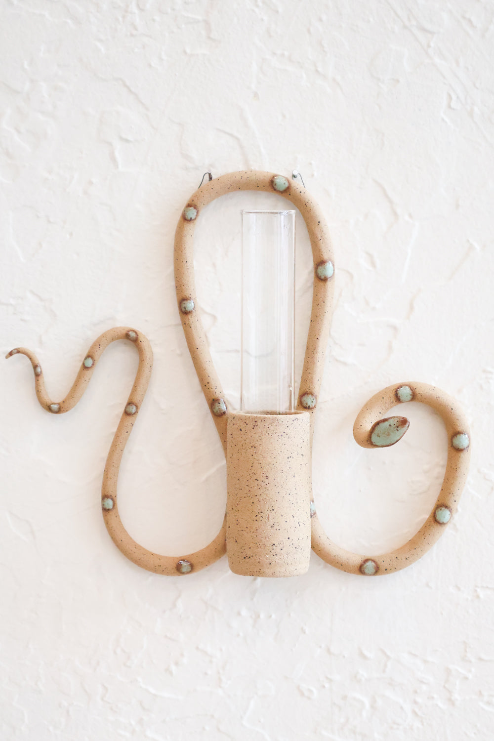 Selma snake propagation tube holder hanging on a white wall with a glass propagation tube. 