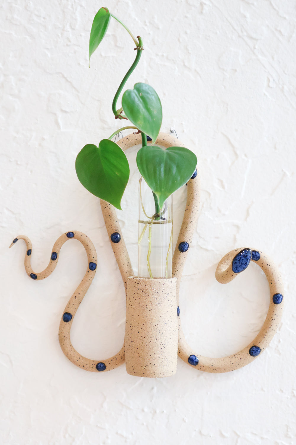 Selena sand snake propagation tube holder hanging on a white wall, styled with a plant propagation. This colorway is speckled tan clay and blue dots.