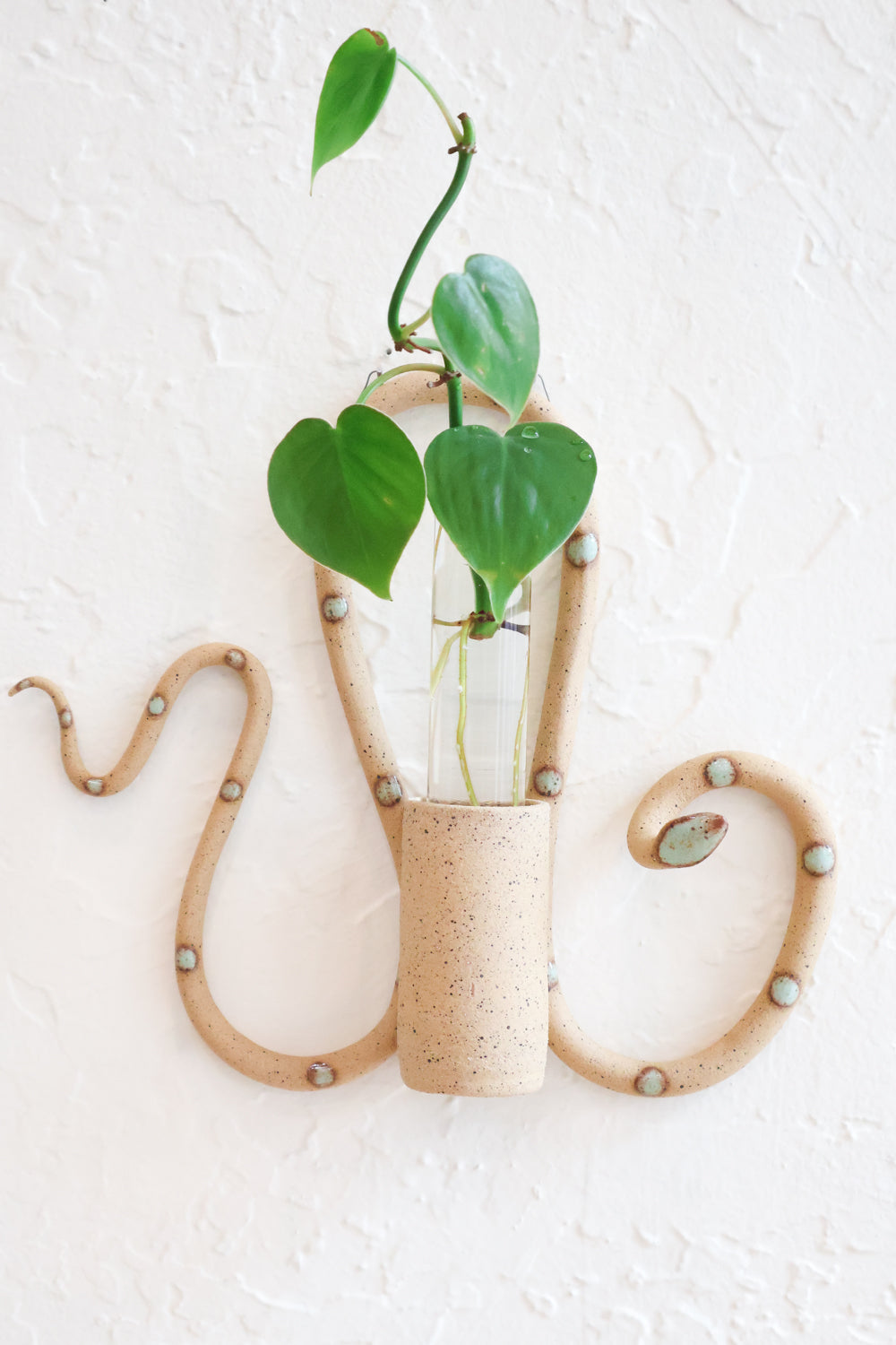 Selma snake propagation tube holder hanging on a white wall, styled with a plant propagation. This colorway is speckled tan clay, with green dots. 