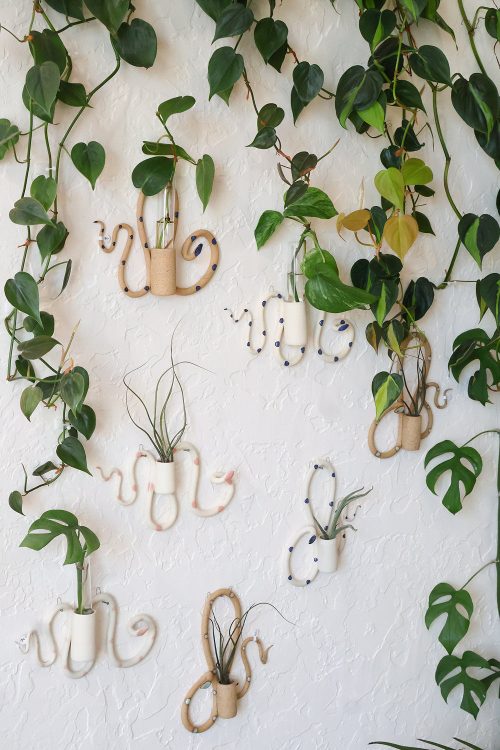 Decorative wall with hanging plants showing seven different styles of the snake propagation tube holders with various propagations and air plants. 