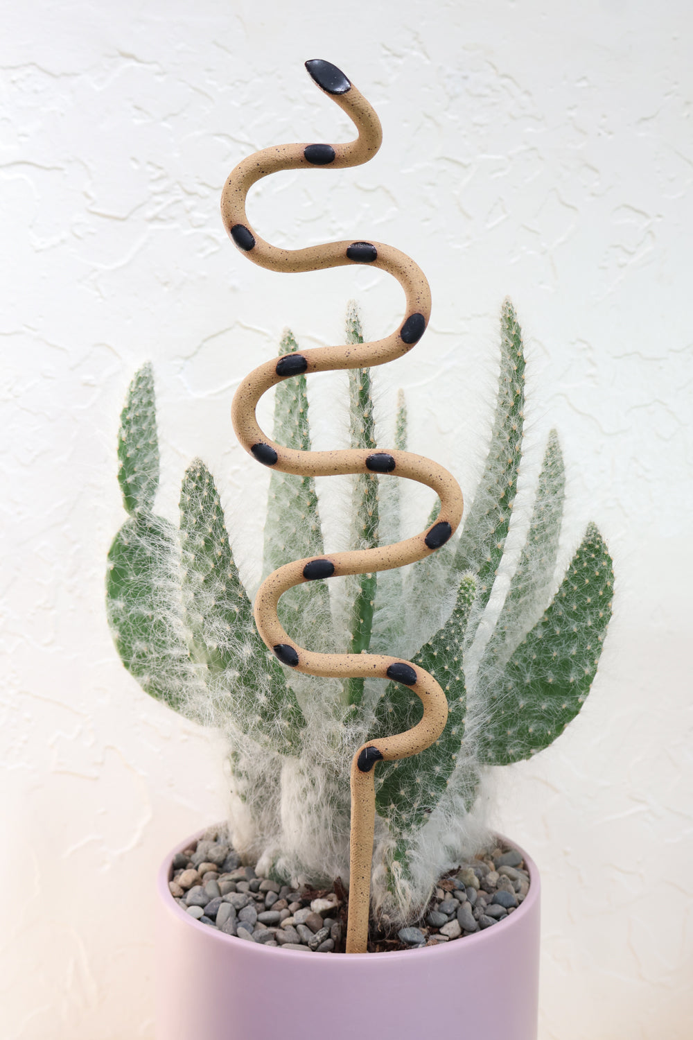 Sammy colorway plant stake in a pot with a cactus. This snake is tan with black spots. 