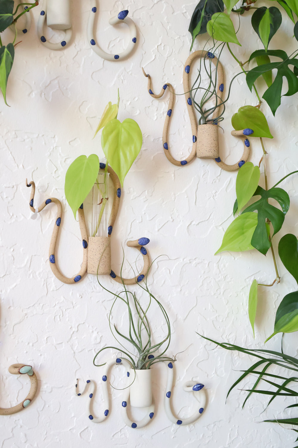 Decorative wall mounted snake propagation tube holders with plants on a  textured white wall