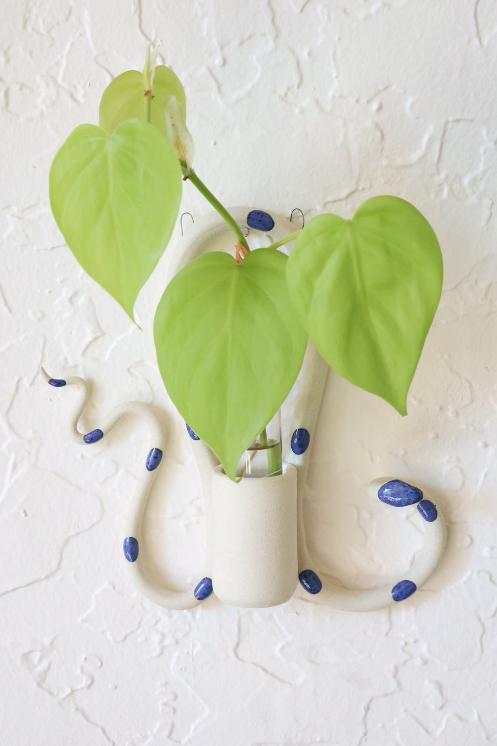 Selena ivory snake propagation tube holder hanging on a white wall, styled with a plant propagation. This colorway is ivory clay and blue dots.