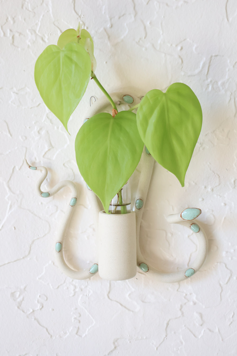Sylvia snake propagation tube holder hanging on a white wall, styled with a plant propagation. This colorway is ivory clay and green dots.