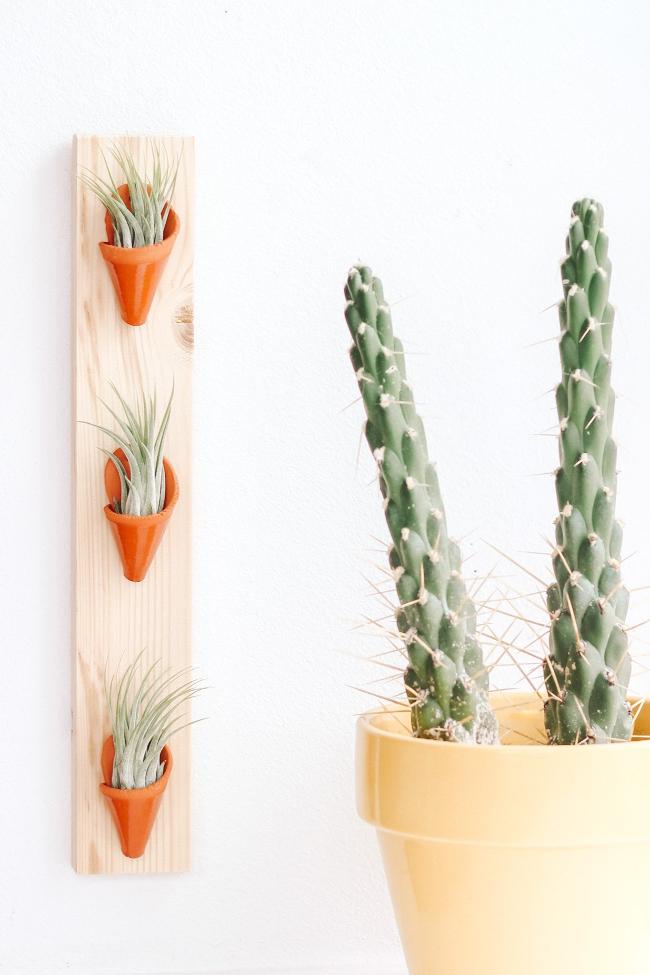 Three terracotta clay cones on a thin vertical pine board styled with air plants inside the cones. 