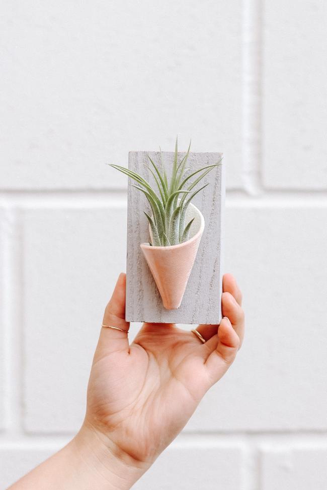 A small blush ceramic cone on a grey wooden board styled with an air plant inside the cone being held up by a hand against a white wall. 