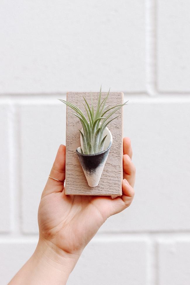 A small white cone with a brushed indigo glaze on a grey wooden board styled with an air plant inside the cone being held up by a hand against a white wall. 
