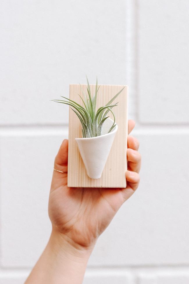 A small ivory ceramic cone on a pine wooden board styled with an air plant inside the cone being held up by a hand against a white wall. 