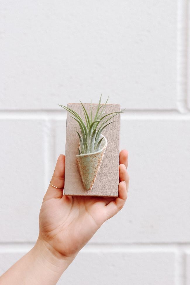 A small green glazed ceramic cone on a grey wooden board styled with an air plant inside the cone being held up by a hand against a white wall. 