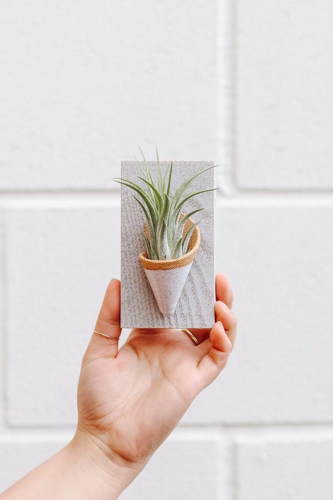 A small white dipped speckled ceramic cone on a grey wooden board styled with an air plant inside the cone being held up by a hand against a white wall. 